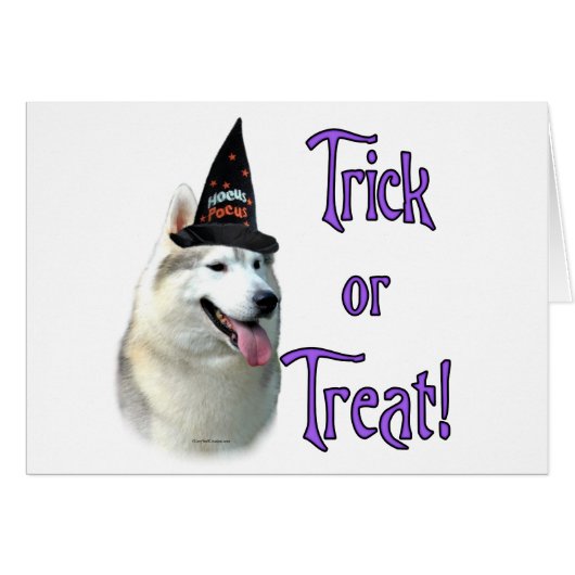 Siberian Husky Trick Cards (Front Horizontal)
