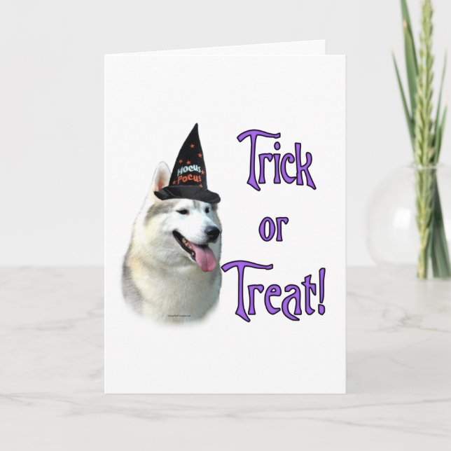 Siberian Husky Trick Greeting Card (Front)