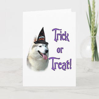 Siberian Husky Trick Greeting Card
