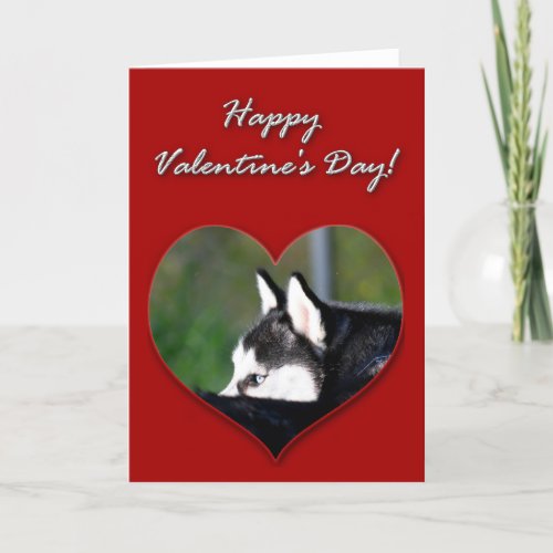 Siberian Husky Valentines Day Card
