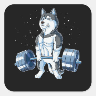 https://rlv.zcache.com/siberian_husky_weightlifting_funny_deadlift_men_square_sticker-rc584eb365cda423d9382b643595dc37d_0ugra_8byvr_307.jpg