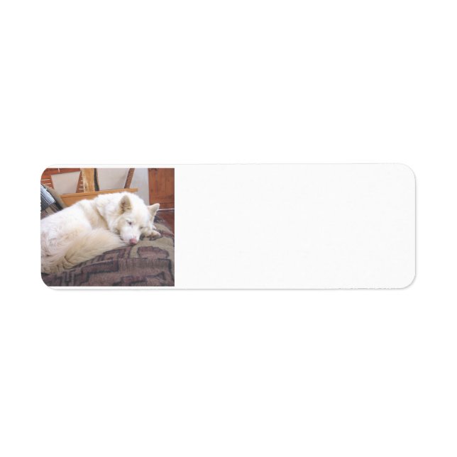 siberian husky white sleeping label (Front)
