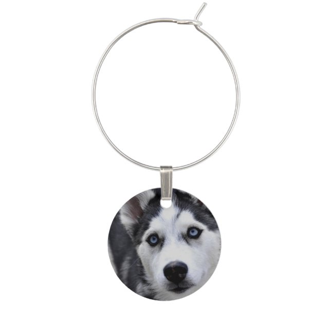 Siberian Husky Wine Glass Charm (Front)