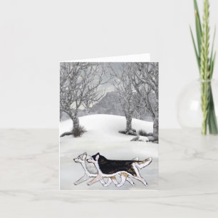 Siberian Husky Winter Card