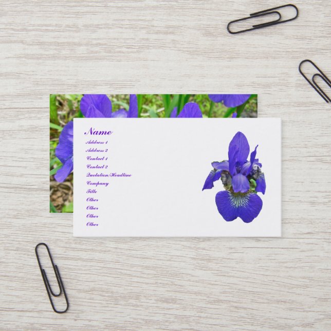 Siberian Iris Business Card (Front/Back In Situ)