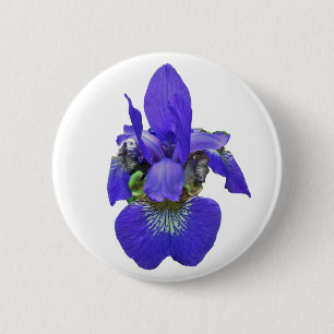 Siberian Iris Coordinating Items Button