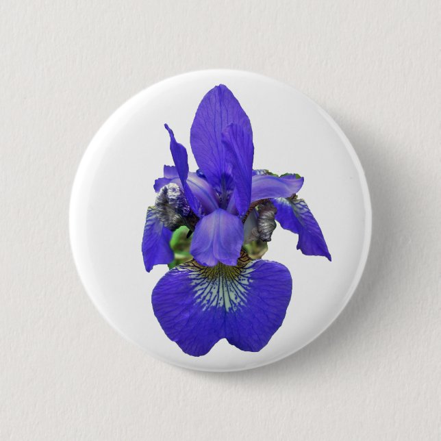 Siberian Iris Coordinating Items Button (Front)