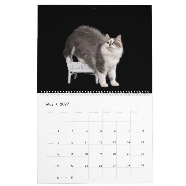Siberian Kittens Calendar (May 2027)