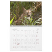 siberian lynx 034, Siberian Lynx Calendar (Jan 2025)