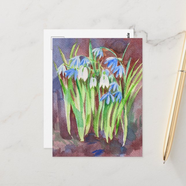 Siberian squill blue spring flower painting postcard (Front/Back In Situ)
