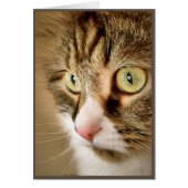 Siberian Thoughts (Blank Card) (Front)