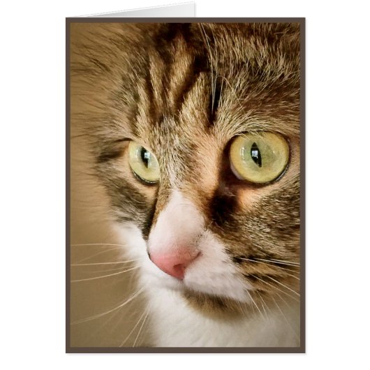 Siberian Thoughts (Blank Card) Cards (Front)