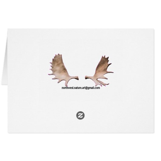 Siberian Tiger (Back Horizontal)