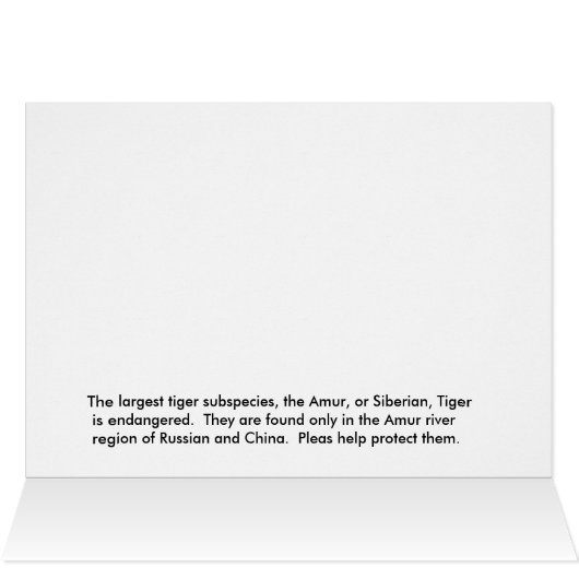 Siberian Tiger (Inside Horizontal (Top))
