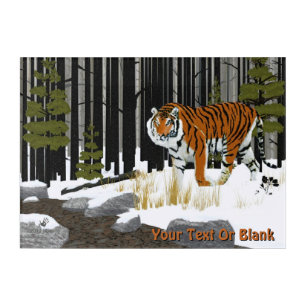 Siberian Tiger Acrylic Print