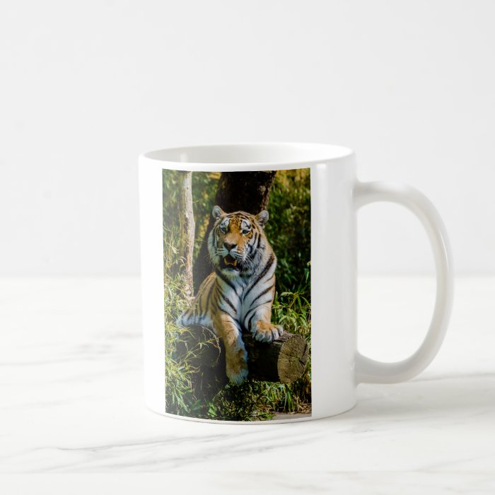 Siberian Tiger Amur Tiger Panthera Tigris Altaica Coffee Mugs