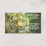 Siberian Tiger Business Card