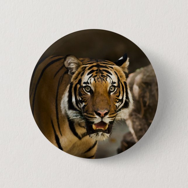 Siberian Tiger Button (Front)