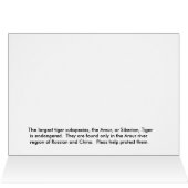 Siberian Tiger Cards (Inside Horizontal (Top))
