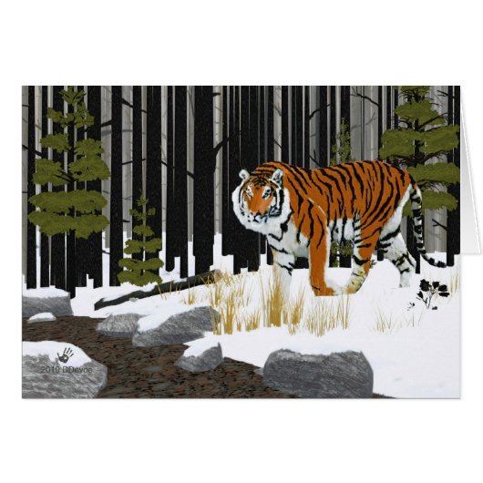 Siberian Tiger Cards (Front Horizontal)