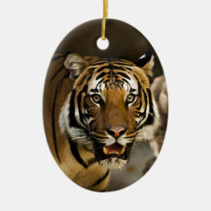 Siberian Tiger Ceramic Ornament