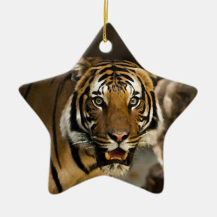 Siberian Tiger Ceramic Ornament