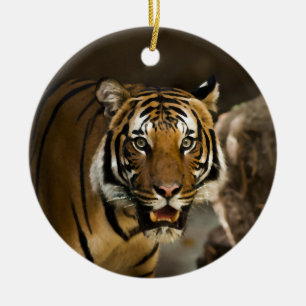 Siberian Tiger Ceramic Ornament
