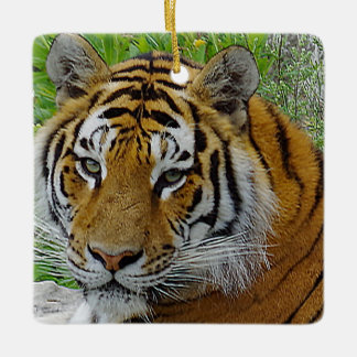 Siberian Tiger Closeup Photo of Face Ceramic Ornament