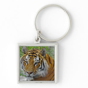 Siberian Tiger Closeup Photo of Face Keychain