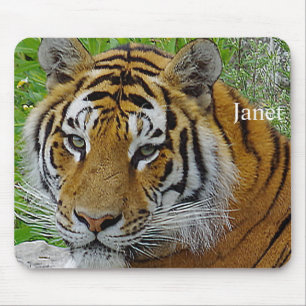 Siberian Tiger Closeup Photo of Face Mouse Pad