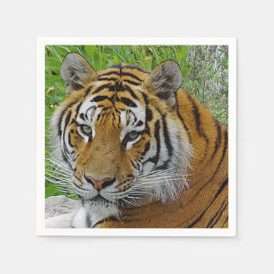 Siberian Tiger Closeup Photo of Face Paper Napkins