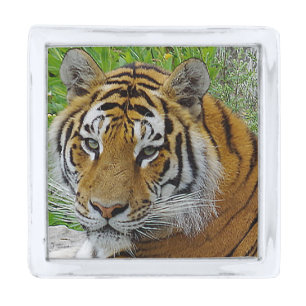 Siberian Tiger Closeup Photo of Face Silver Finish Lapel Pin