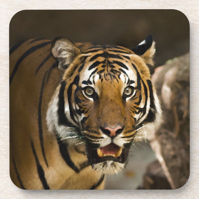 Siberian Tiger Coaster (Front)