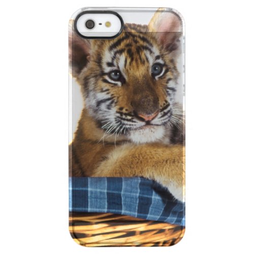 Siberian Tiger Cub in basket Clear iPhone SE55s Case