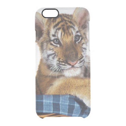 Siberian Tiger Cub in basket Clear iPhone 66S Case