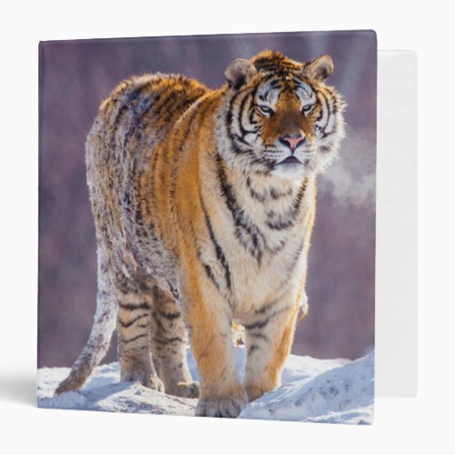 Siberian tiger in snow China Binder