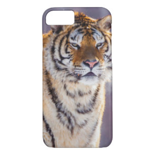 Siberian tiger in snow, China iPhone 8/7 Case