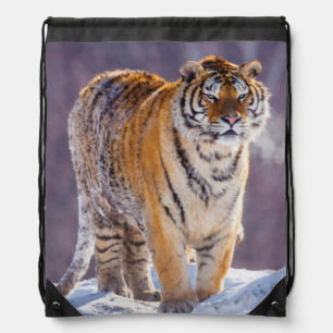 Siberian tiger in snow, China Drawstring Bag