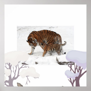 Siberian tiger in snow poster