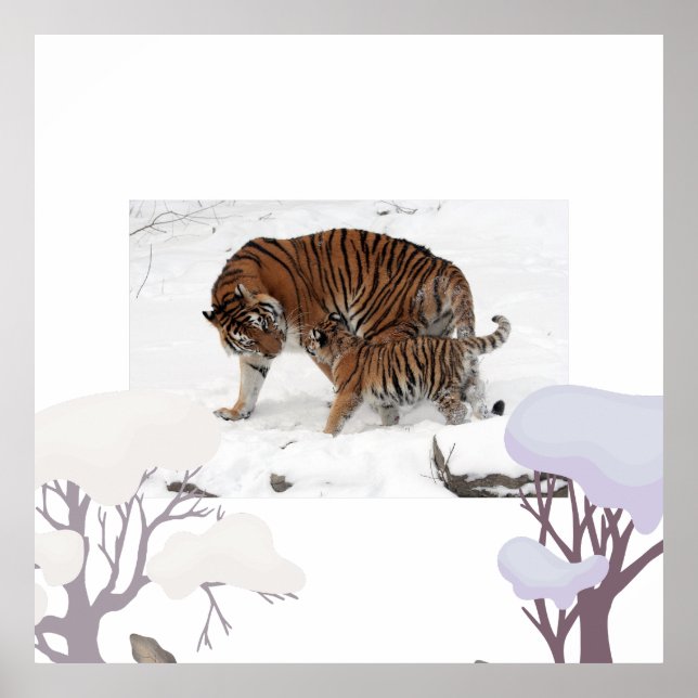 Siberian tiger in snow poster (Front)