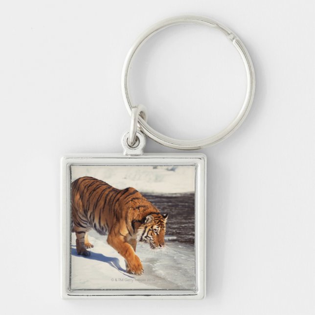 Siberian tiger keychain (Front)