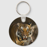 Siberian Tiger Keychain at Zazzle