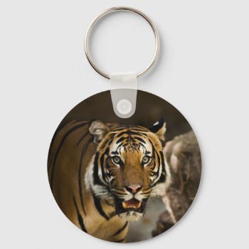 Siberian Tiger Keychain by made_in_atlantis at Zazzle