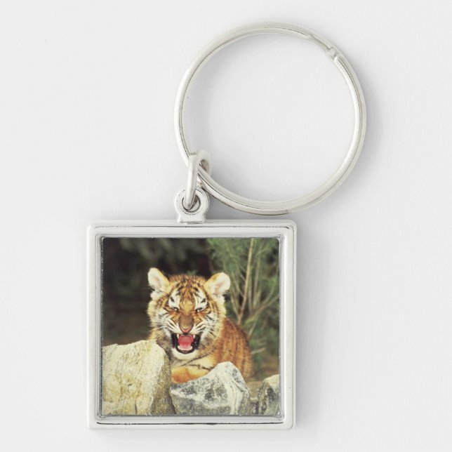 Siberian Tiger Keychain (Front)