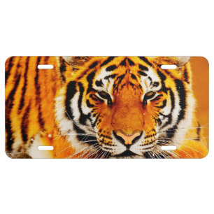 Siberian Tiger License Plate