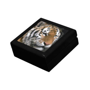 Siberian Tiger Lovers Art Gift Box