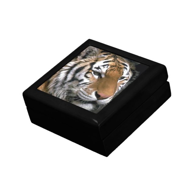 Siberian Tiger Lovers Art Gift Box (Side)