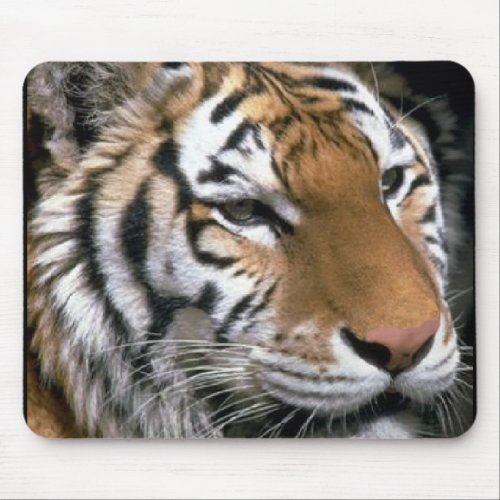 Siberian Tiger Lovers Art Mouse Pad