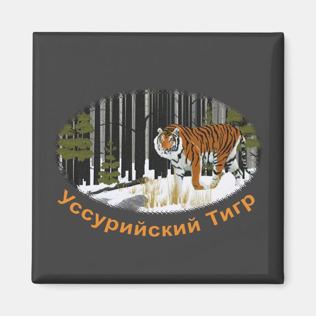 Siberian Tiger Magnet (Front)