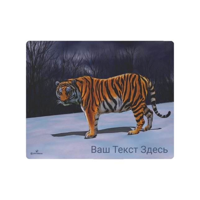 Siberian Tiger Metal Print (Front)